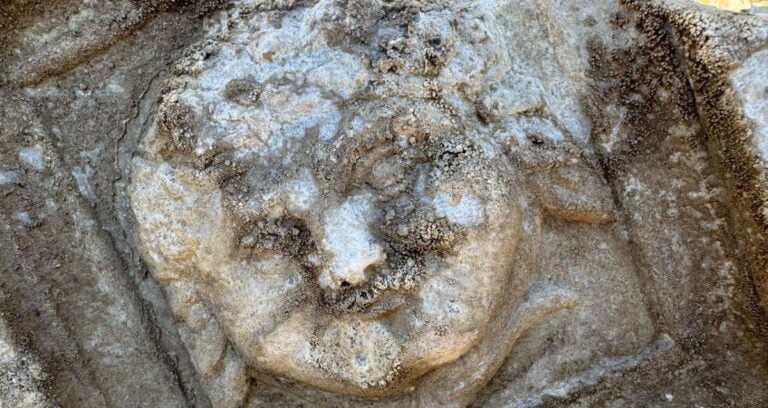 Smiling Medusa Featured