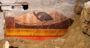 Villa Of Poppaea Peahen Fresco Featured