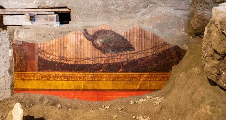 Villa Of Poppaea Peahen Fresco Featured