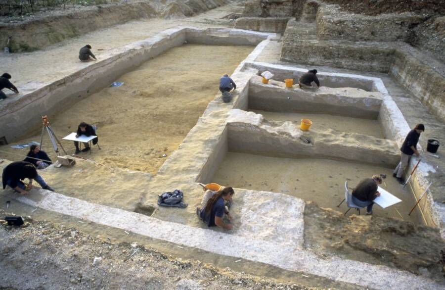 Boxgrove Archaeological Site