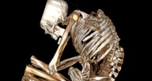 Chile Turquoise Mine Mummy Featured