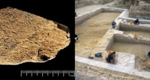 Elephant Bone Tool Featured