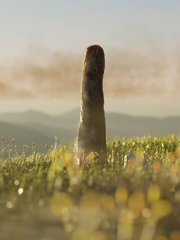 Prototaxites New Life Form