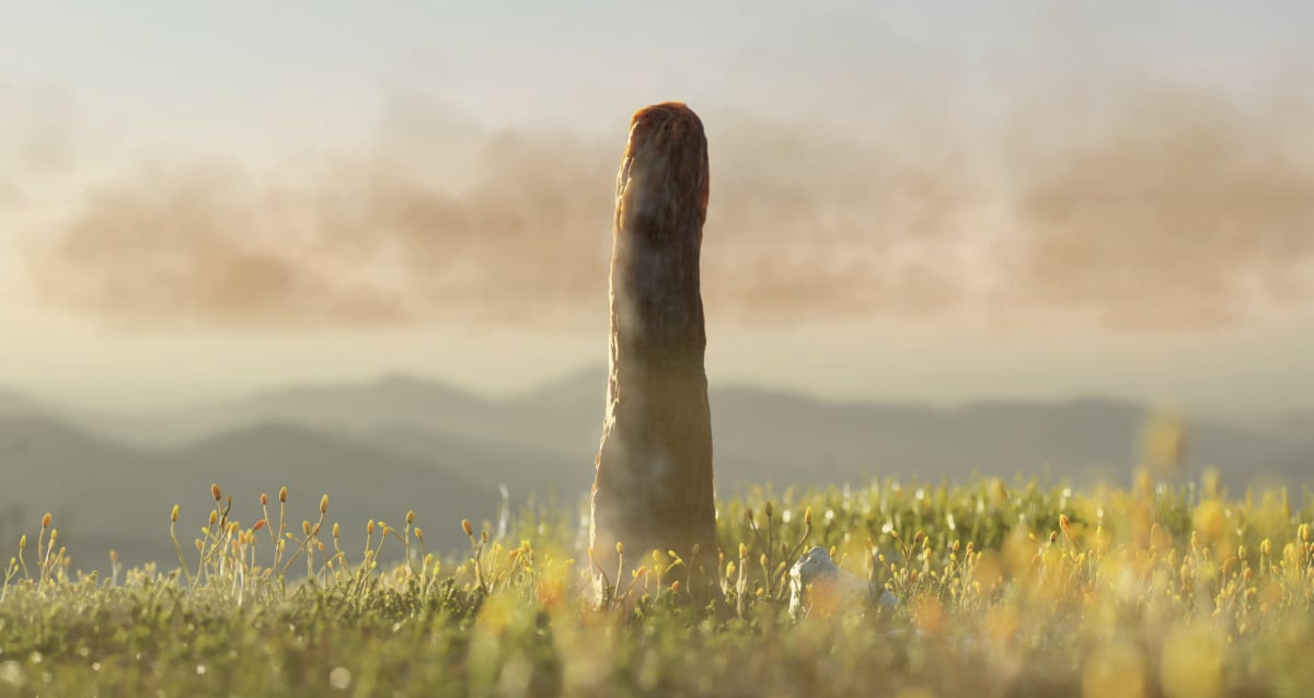 Scientists May Have Just Discovered A New Life Form While Studying Fossils Of An Extinct, Fungus-Like Organism - All That's Interesting