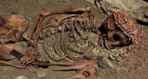 Stone Age Bear Attack Victim Featured