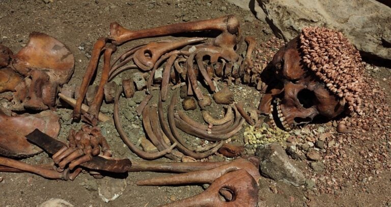 Stone Age Bear Attack Victim Featured