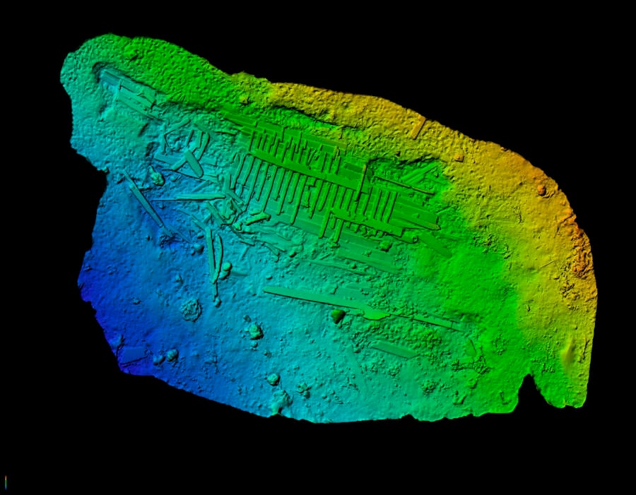 Svaelget 2 Elevation Model