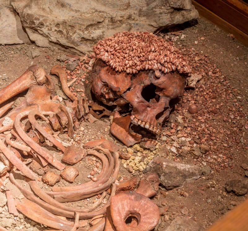 Il Principe Bear Attack