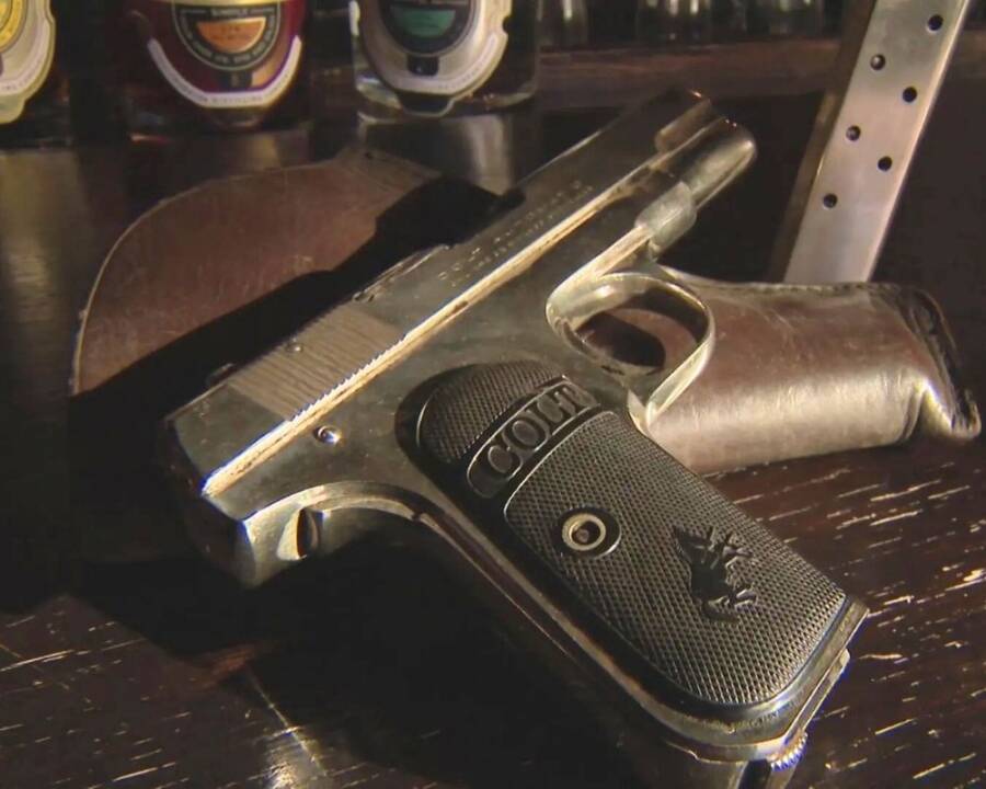 Thornton Illinois Prohibition Gun