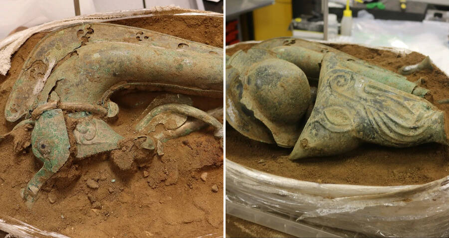 Extraordinary' Iron Age Trumpet Unearthed In West Norfolk