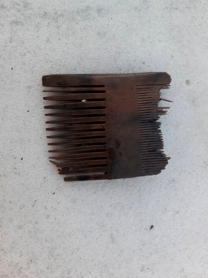 Wooden Comb From Medieval Ship Found In Denmark