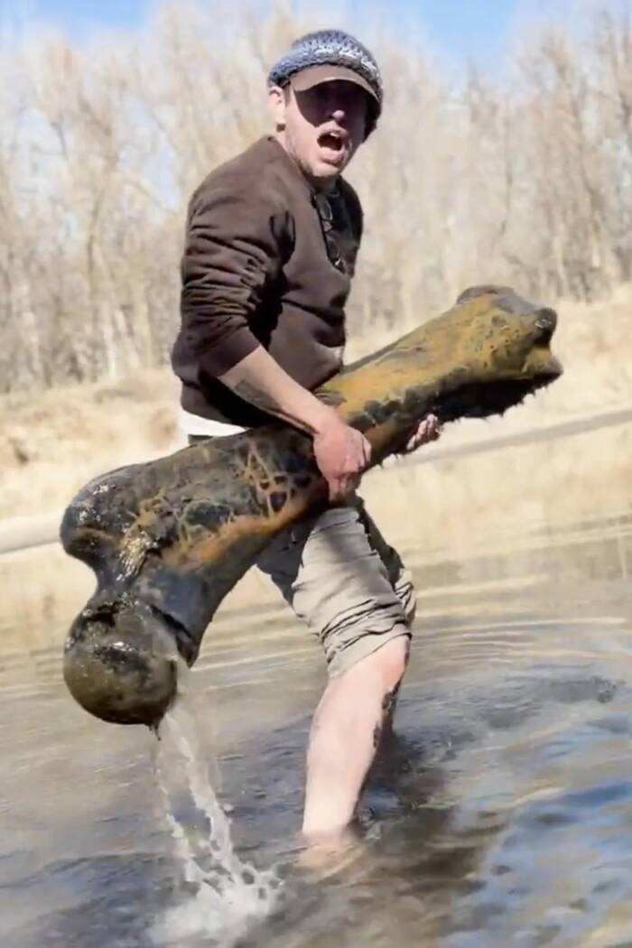 Mammoth Bone Found In Missouri