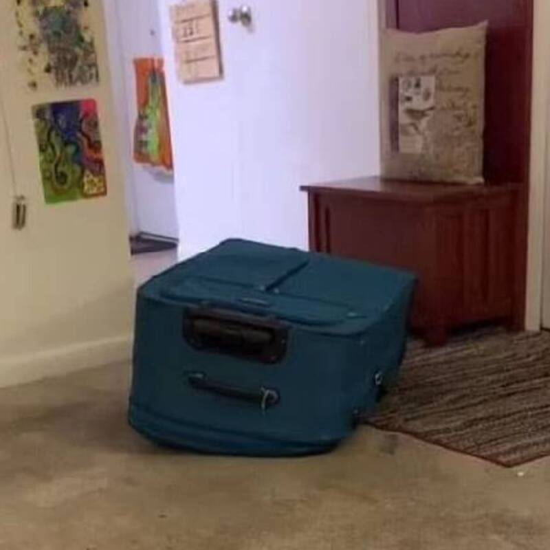 Suitcase At The Crime Scene