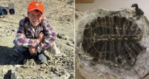 Touren Pope Alongside Turtle Shell Fossil Featured