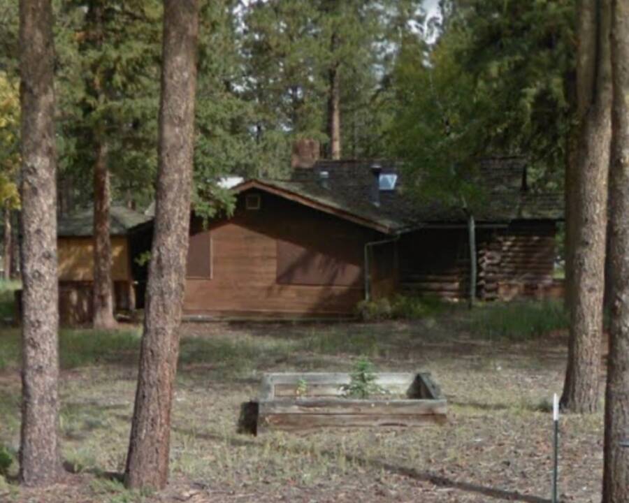 Abandoned Cabin In Woodland Park