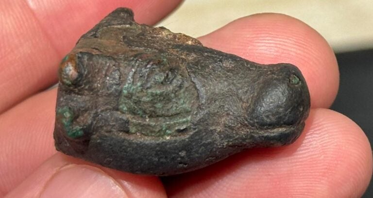 Bronze Bulls Head Featured