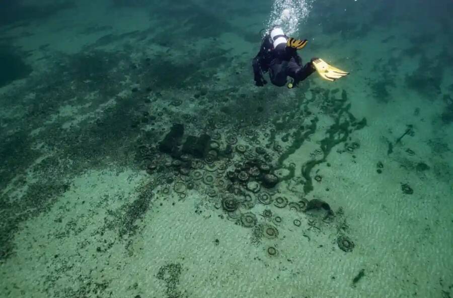 Ancient Roman Ship Cargo In Switzerland