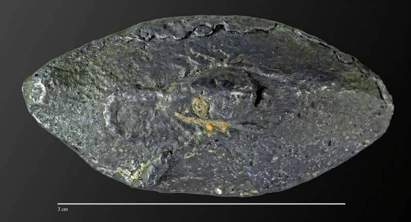 Hippos Sling Bullet With Scorpion