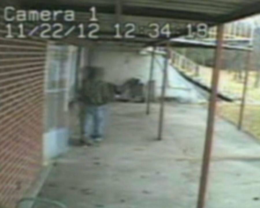 Nicholas Brady Surveillance Footage