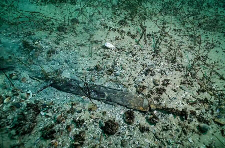 Roman Sword Found In Swiss Lake