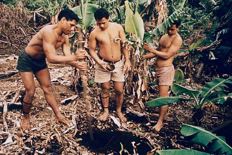 Tongan Castaways Building Shelter