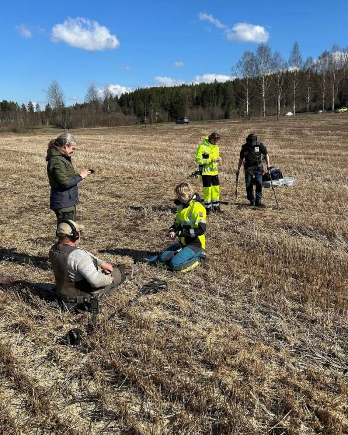Viking Coins Found In Rena Norway