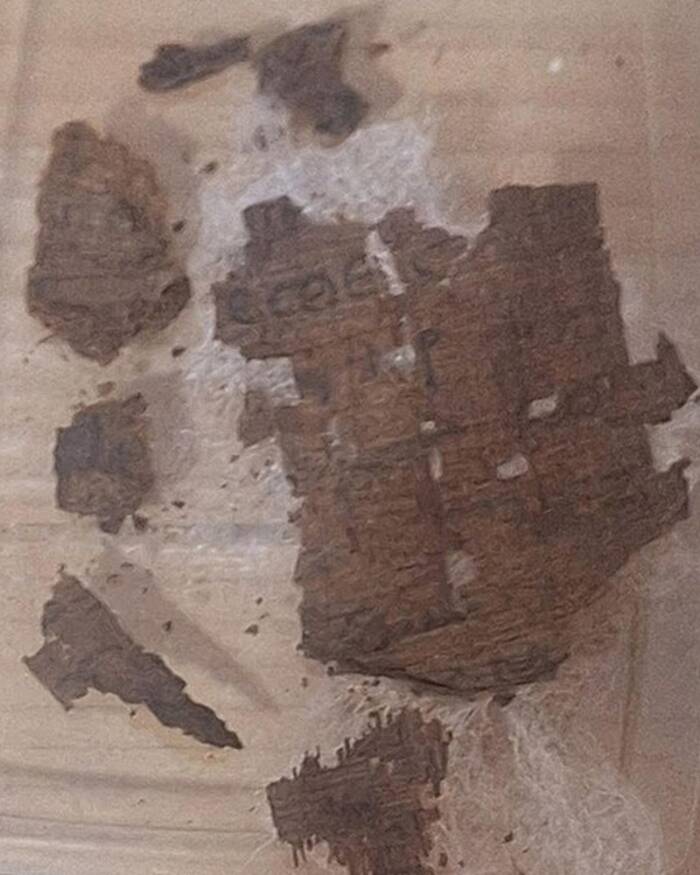 Egyptian Mummy With Iliad Papyrus