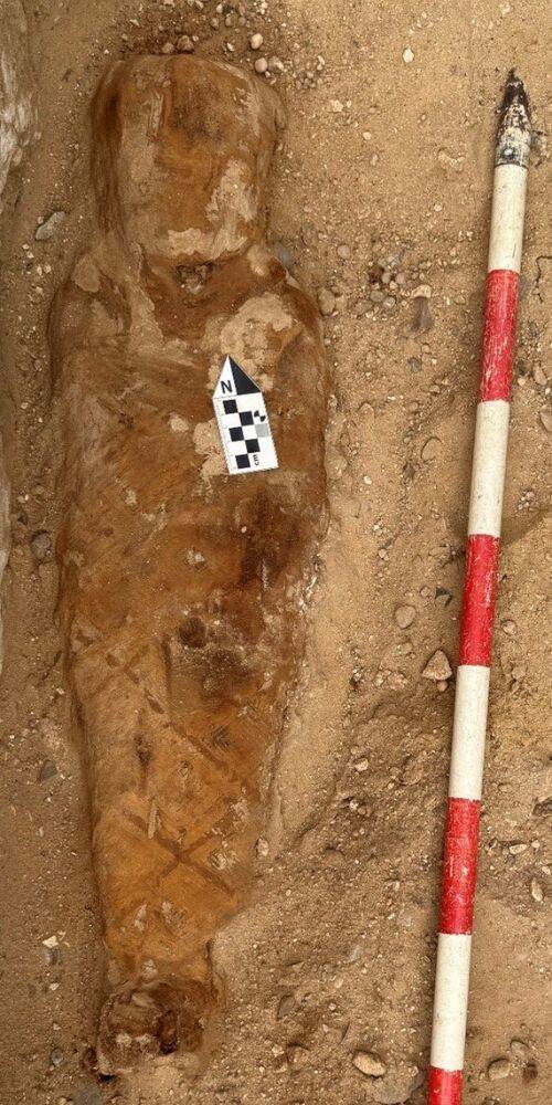 Egyptian Mummy With Iliad Papyrus