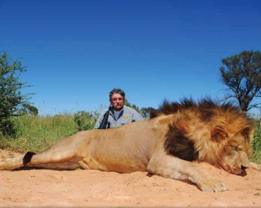 Ernie Dosio With A Lion