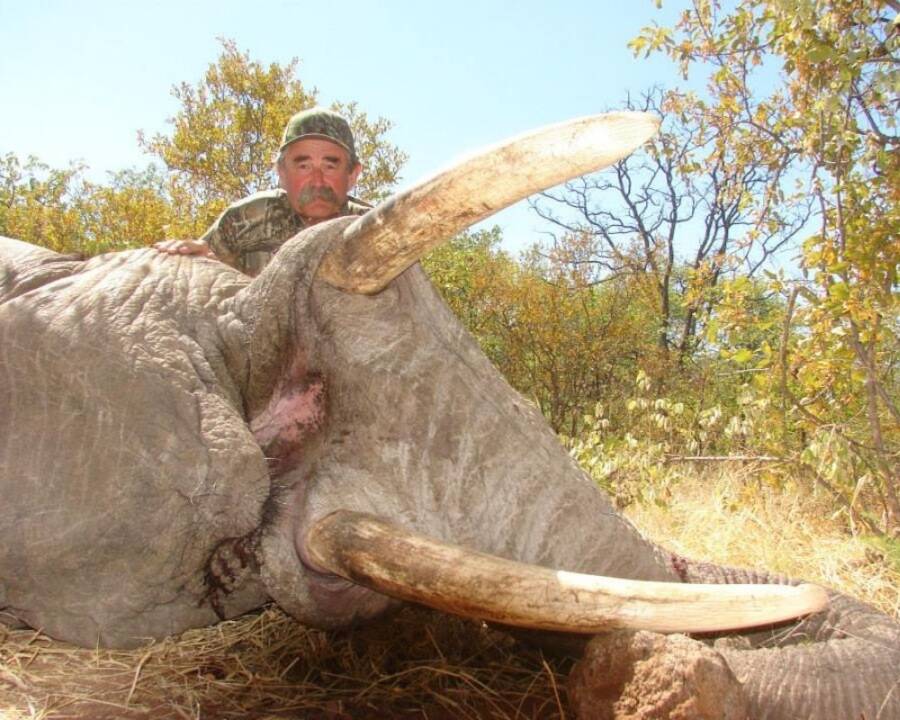 Ernie Dosio With An Elephant