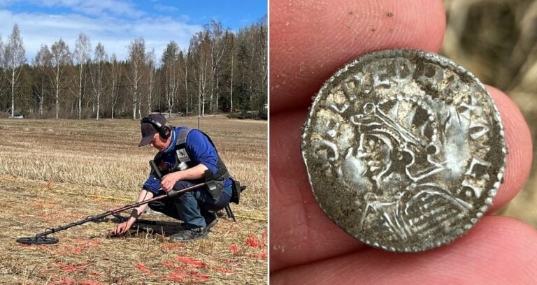 Metal Detectorist Alongside Viking Age Coin Featured