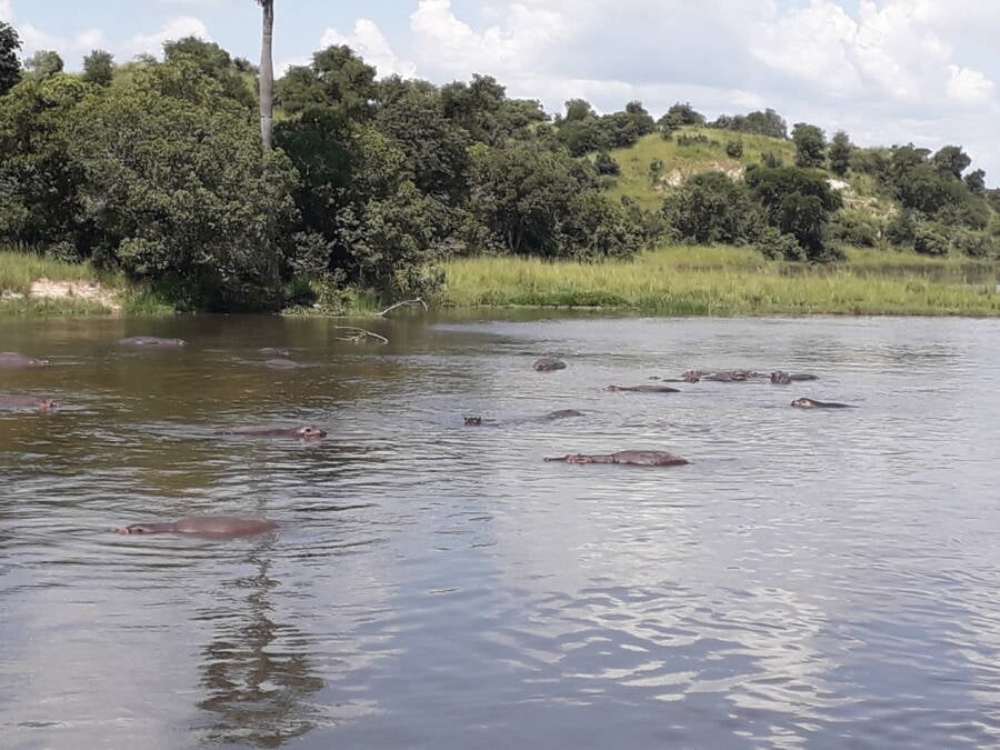 Murchison Falls National Park