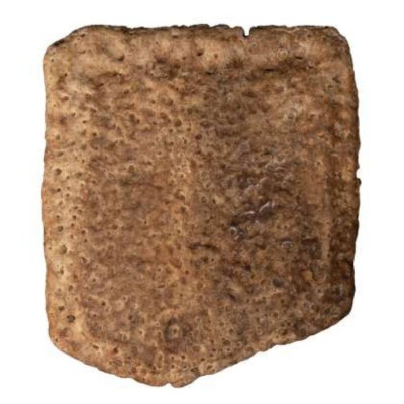 Pampathere Armor Plate Found In Texas