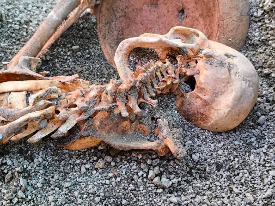 Pompeii Victim Skeleton