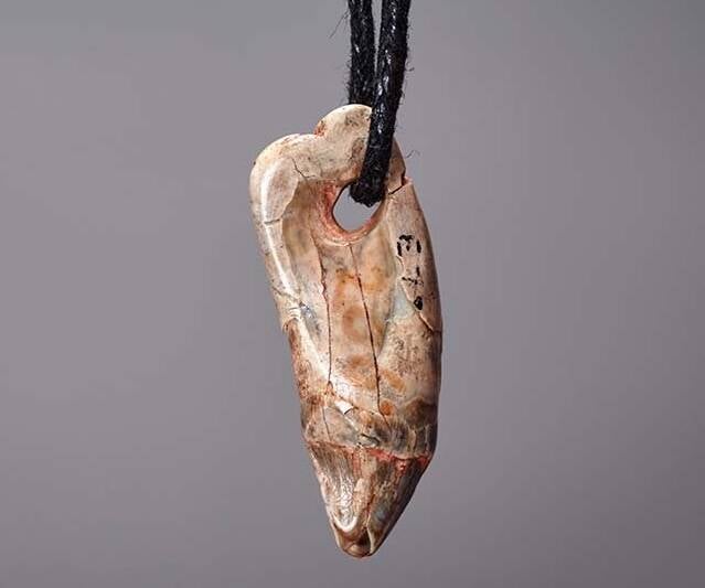 Prehistoric Seal Tooth Pendant