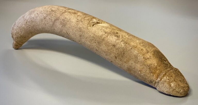 Roman Bone Phallus Featured
