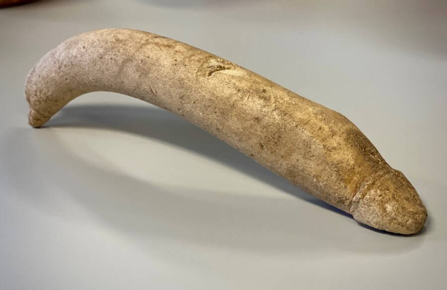 Roman Bone Phallus