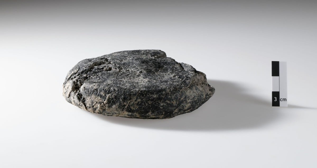 Housing Construction In Switzerland Just Turned Up An Ancient Roman Loaf Of Bread