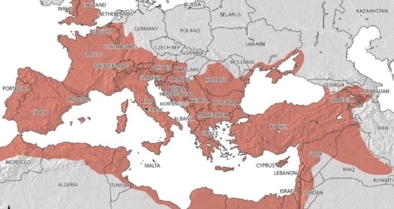 Roman Empire At Its Peak Featured