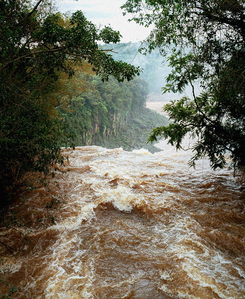 A Mud Flood With Trees On Both Sides