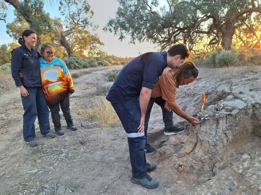 Ancient Aboriginal Dingo Burial