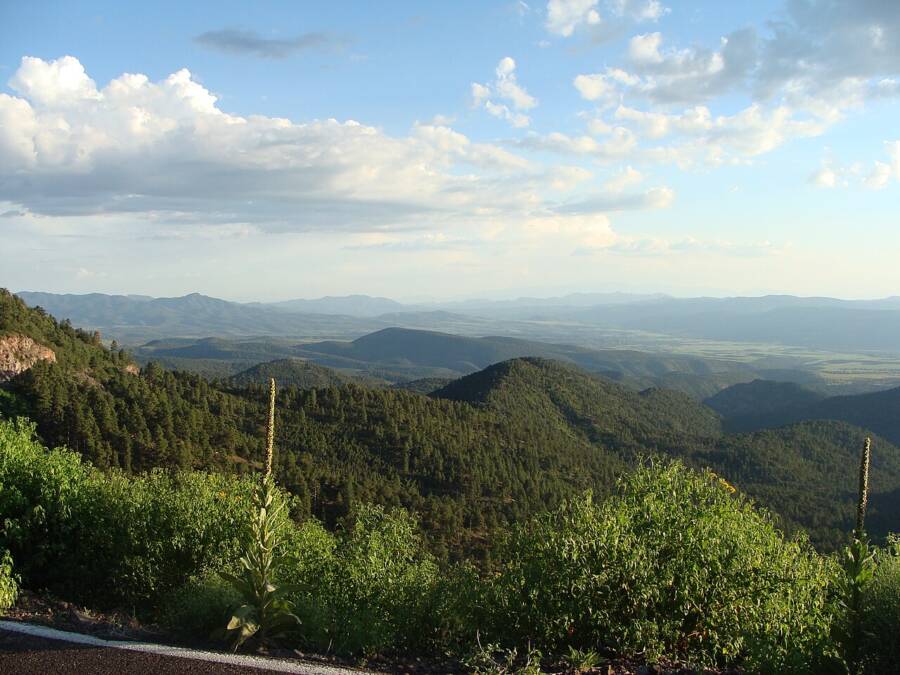 Apache Sitgreaves National Forest