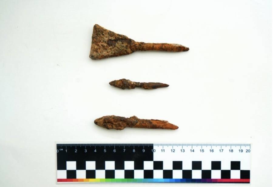 Astrakhan Arrowheads