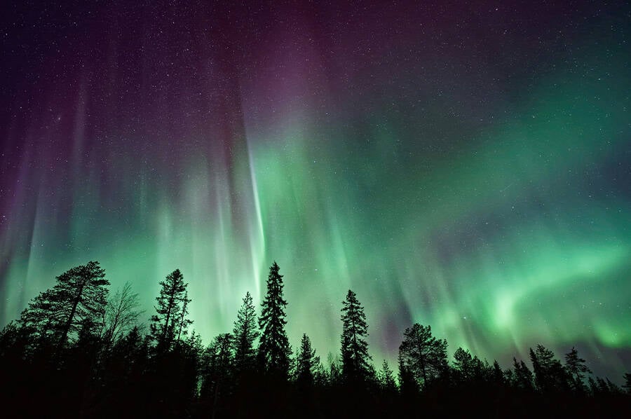 Aurora Borealis