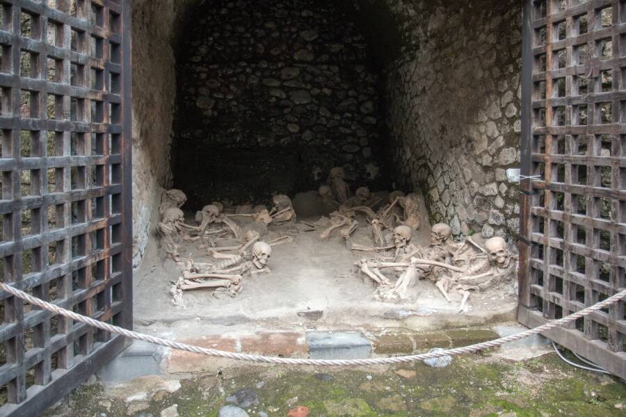 Boathouse Skeletons