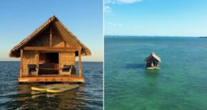 Florida Tiki Hut Airbnb Featured