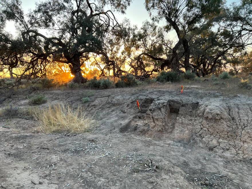 Dingo Burial In Kinchega National Park