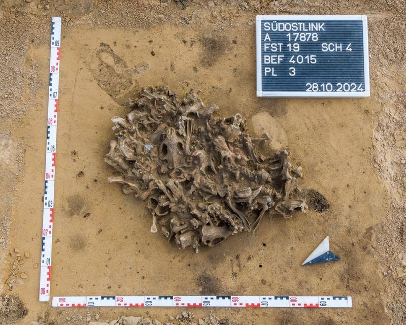 Neolithic Beaver Pit In Germany