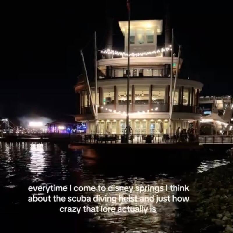 Paddlefish At Night