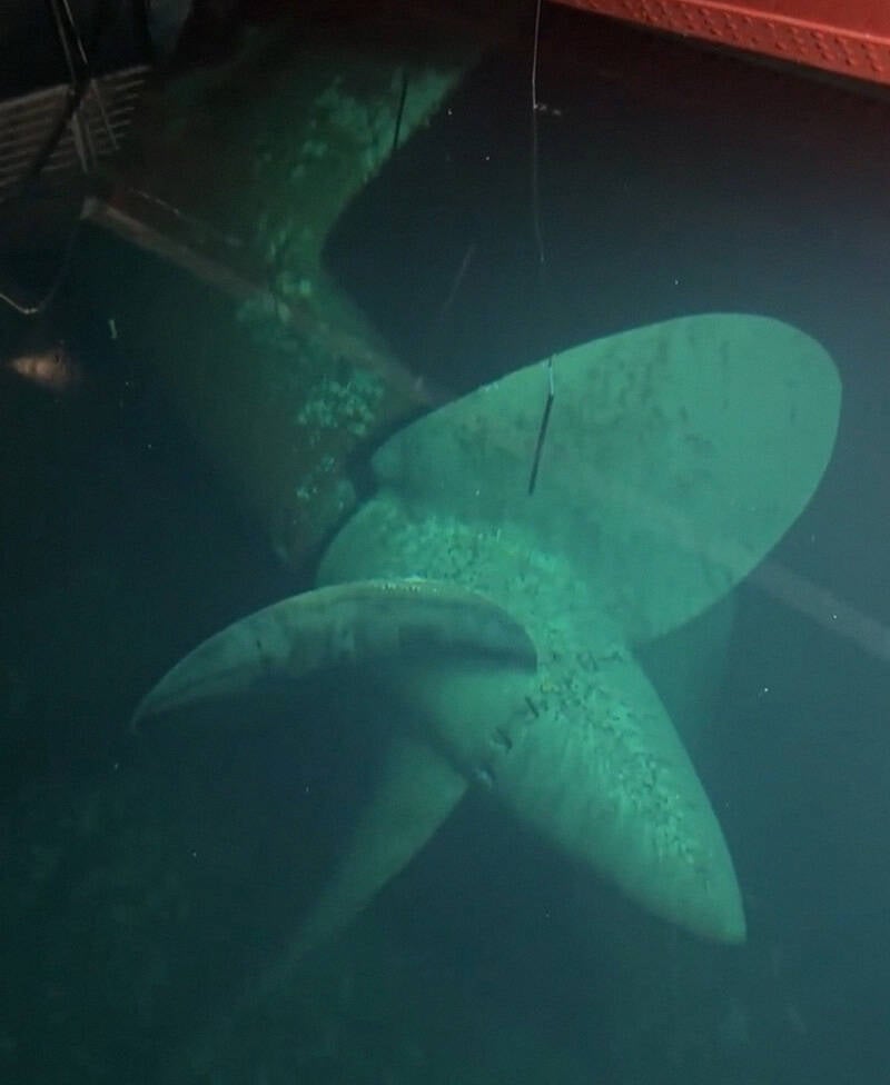 Queen Mary Propeller